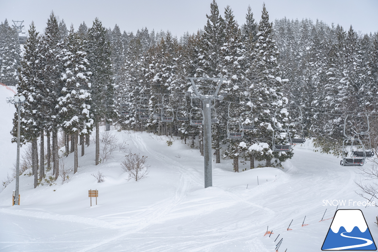 八雲町営スキー場｜初心者から中・上級者まで楽しめるコースが揃う、道南・八雲町のローカルゲレンデへ！